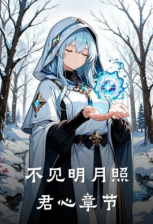 不见明月照君心章节