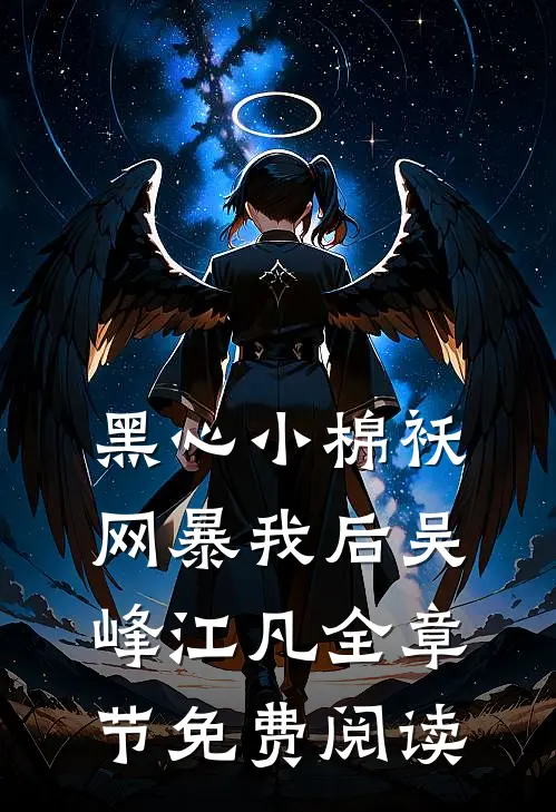 黑心小棉袄网暴我后吴峰江凡全章节免费阅读