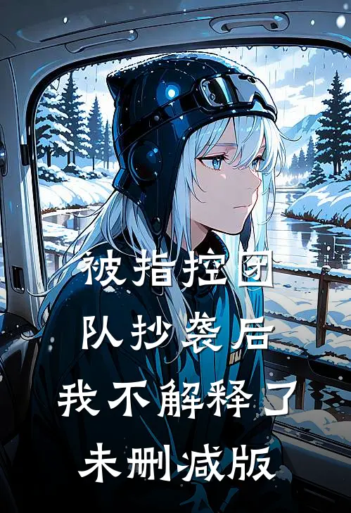 被指控团队抄袭后，我不解释了未删减版