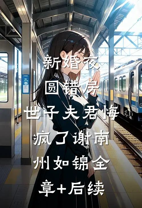 新婚夜圆错房，世子夫君悔疯了谢南州如锦全章+后续