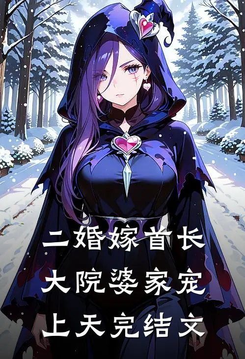 二婚嫁首长，大院婆家宠上天完结文