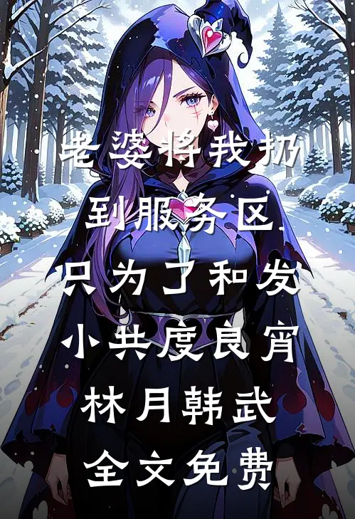 老婆将我扔到服务区，只为了和发小共度良宵林月韩武全文免费