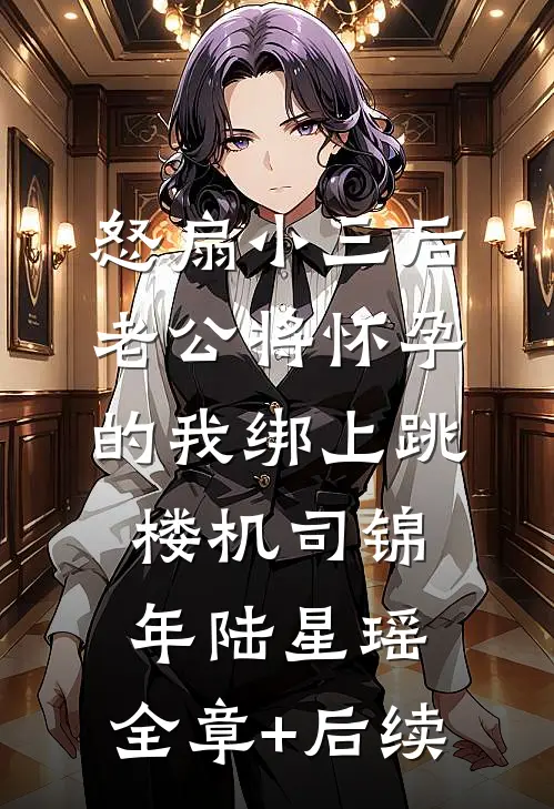 怒扇小三后，老公将怀孕的我绑上跳楼机司锦年陆星瑶:全章+后续