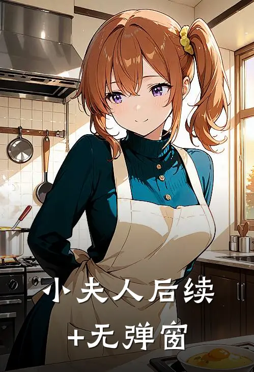 小夫人后续+无弹窗