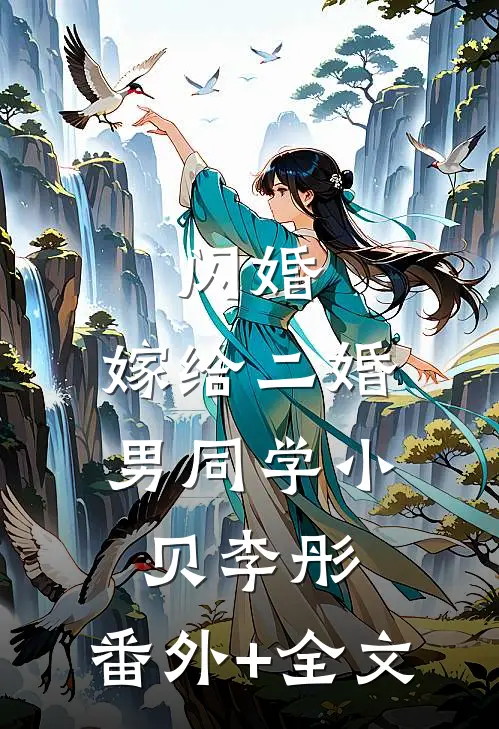 闪婚：嫁给二婚男同学小贝李彤:(番外)+(全文)
