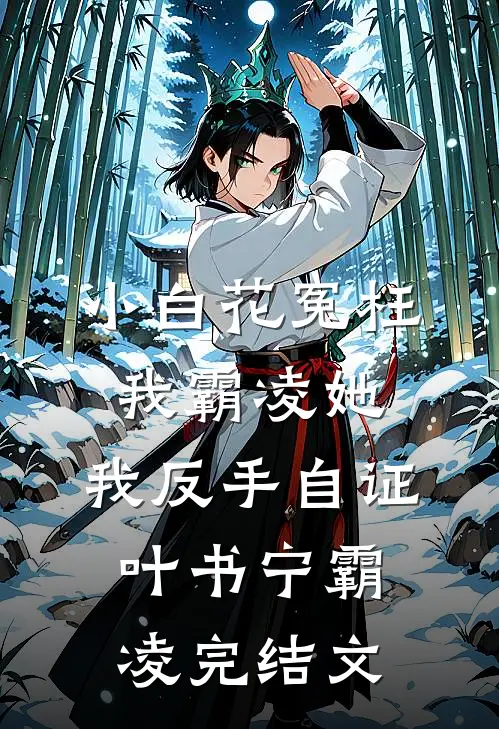 小白花冤枉我霸凌她，我反手自证叶书宁霸凌完结文