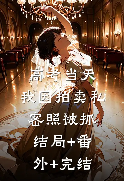 高考当天，我因拍卖私密照被抓结局+番外+完结