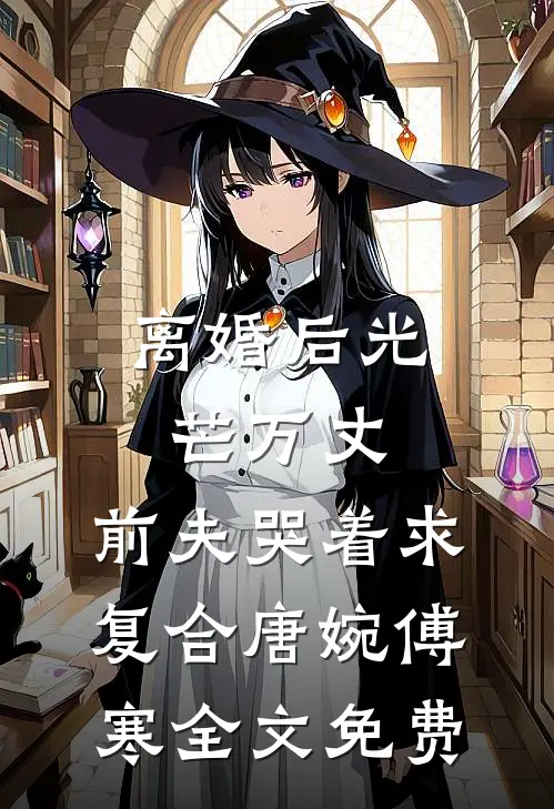 离婚后光芒万丈，前夫哭着求复合唐婉傅寒全文免费
