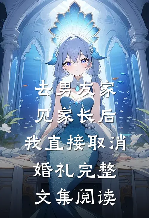 去男友家见家长后，我直接取消婚礼完整文集阅读