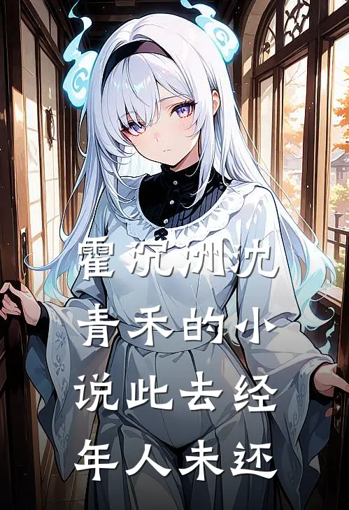 霍沉洲沈青禾的小说此去经年人未还