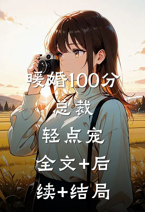 暖婚100分：总裁，轻点宠:全文+后续+结局