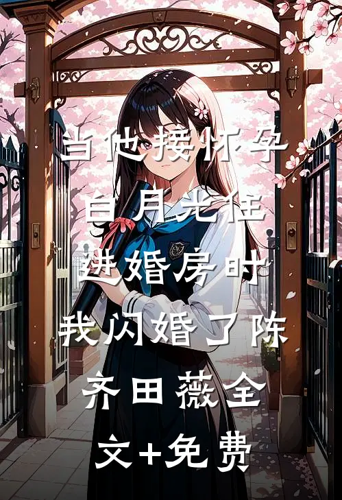 当他接怀孕白月光住进婚房时，我闪婚了陈齐田薇全文+免费