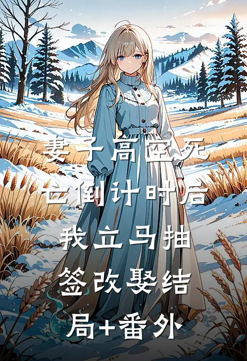 妻子高空死亡倒计时后，我立马抽签改娶结局+番外