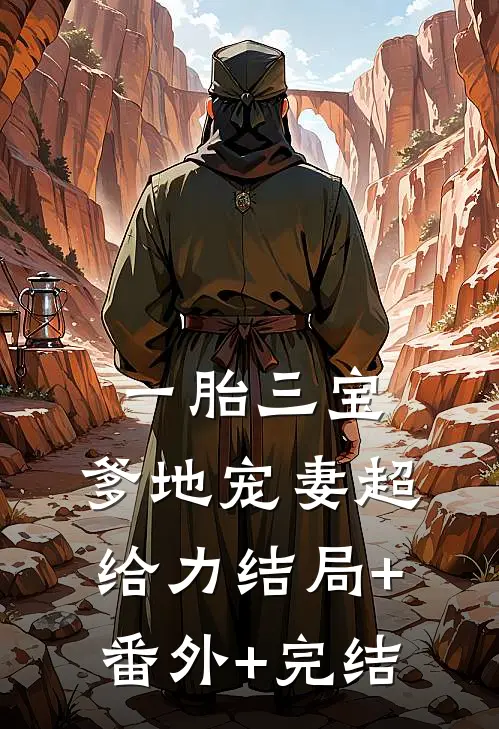 一胎三宝，爹地宠妻超给力结局+番外+完结