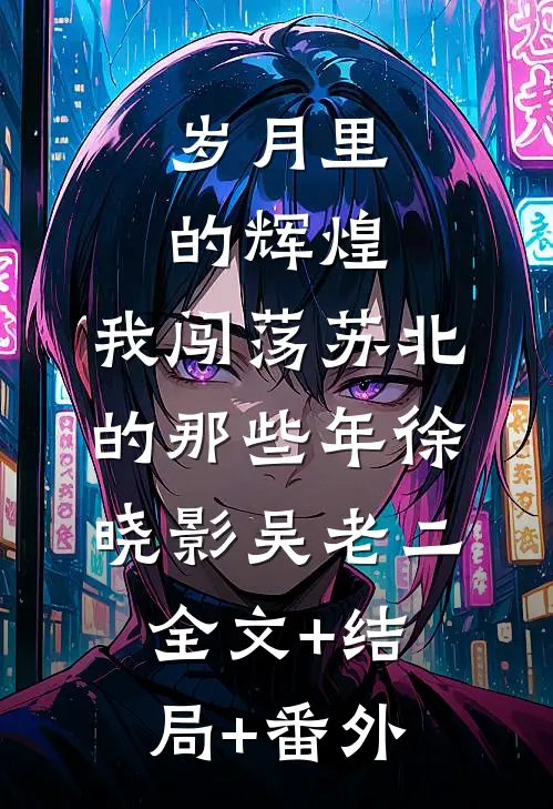 岁月里的辉煌：我闯荡苏北的那些年徐晓影吴老二全文+结局+番外