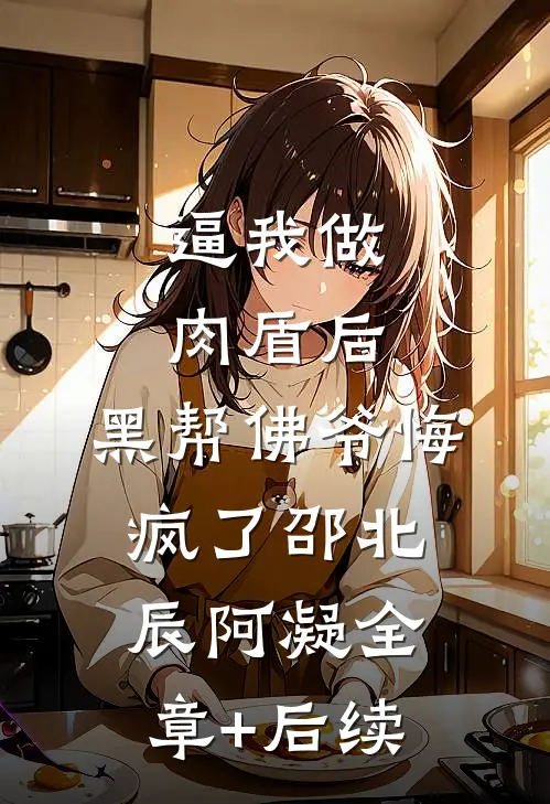 逼我做肉盾后，黑帮佛爷悔疯了邵北辰阿凝全章+后续