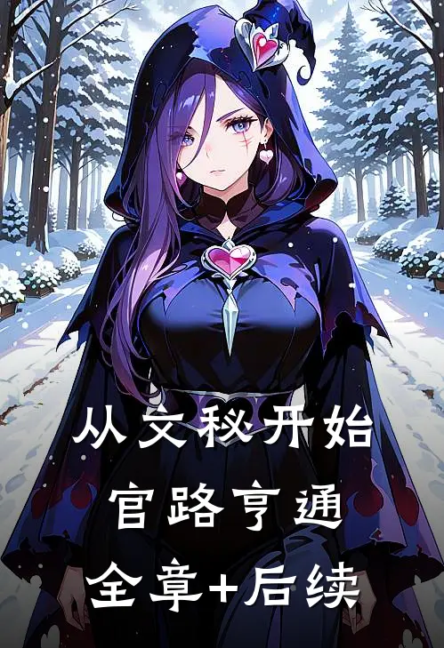 从文秘开始，官路亨通:全章+后续