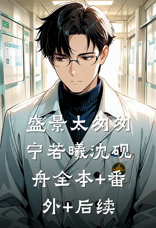 盛景太匆匆宁若曦沈砚舟全本+番外+后续
