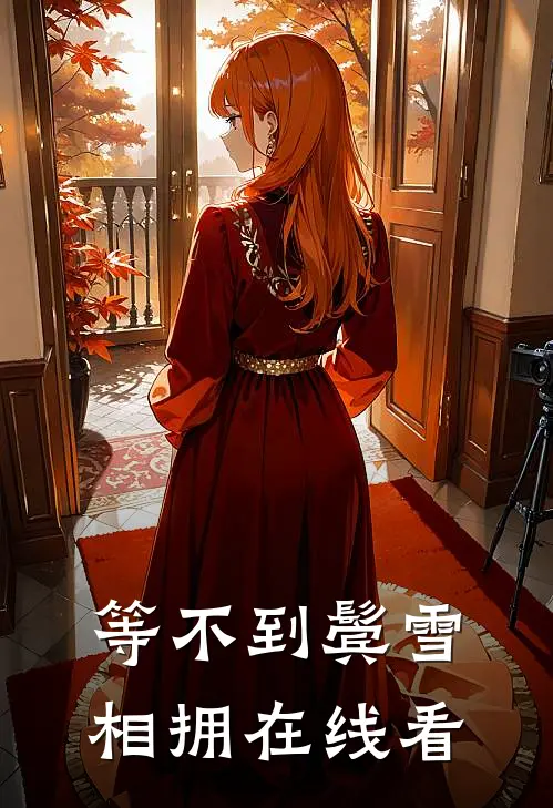 等不到鬓雪相拥在线看