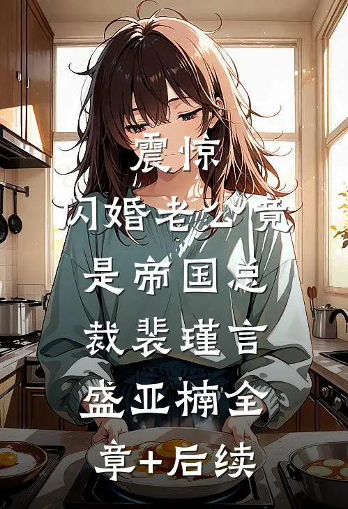 震惊，闪婚老公竟是帝国总裁裴瑾言盛亚楠全章+后续