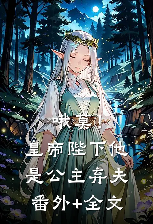 哦莫！皇帝陛下他是公主弃夫:(番外)+(全文)