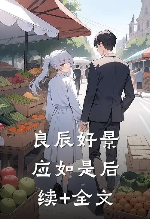 良辰好景应如是后续+全文