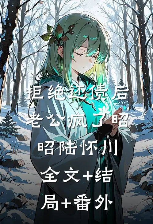 拒绝还债后，老公疯了昭昭陆怀川:全文+结局+番外