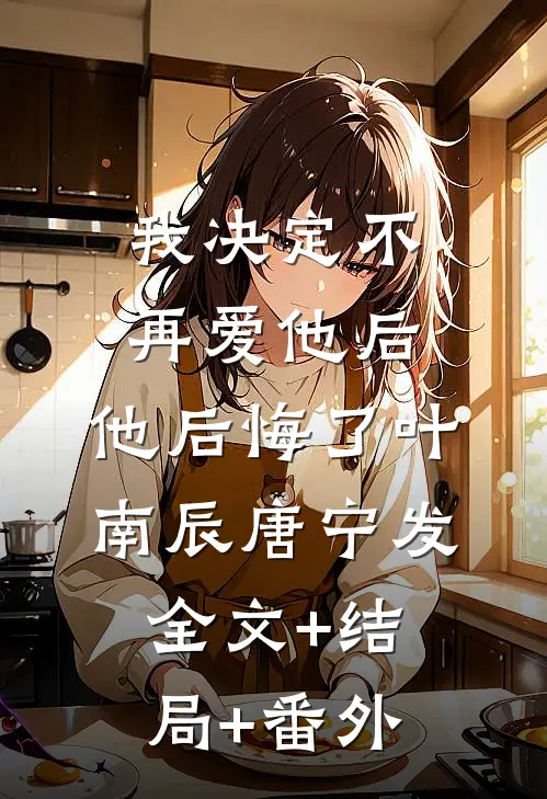 我决定不再爱他后，他后悔了叶南辰唐宁发:全文+结局+番外