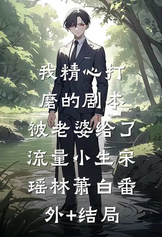 我精心打磨的剧本，被老婆给了流量小生宋瑶林萧白(番外)+(结局)