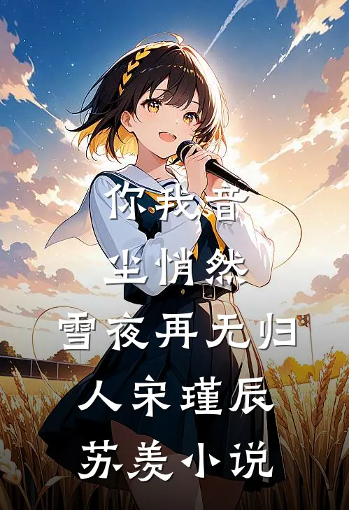 你我音尘悄然，雪夜再无归人宋瑾辰苏羡小说