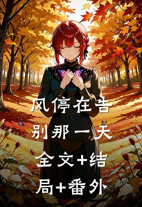 风停在告别那一天全文+结局+番外