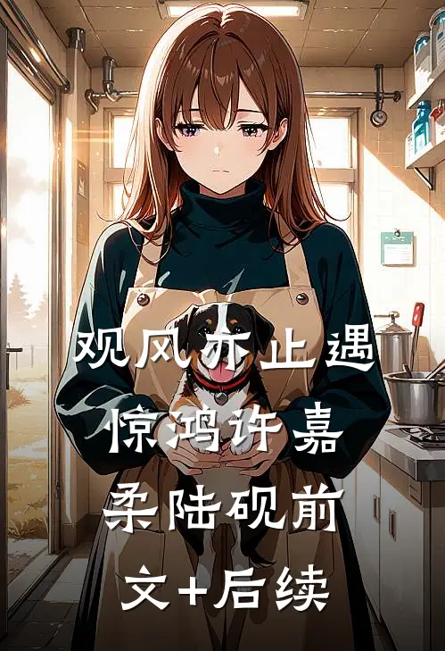 观风亦止遇惊鸿许嘉柔陆砚前文+后续