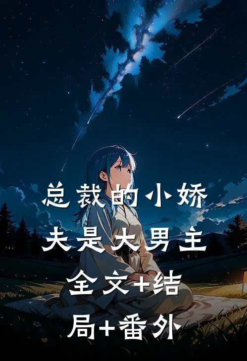 总裁的小娇夫是大男主全文+结局+番外