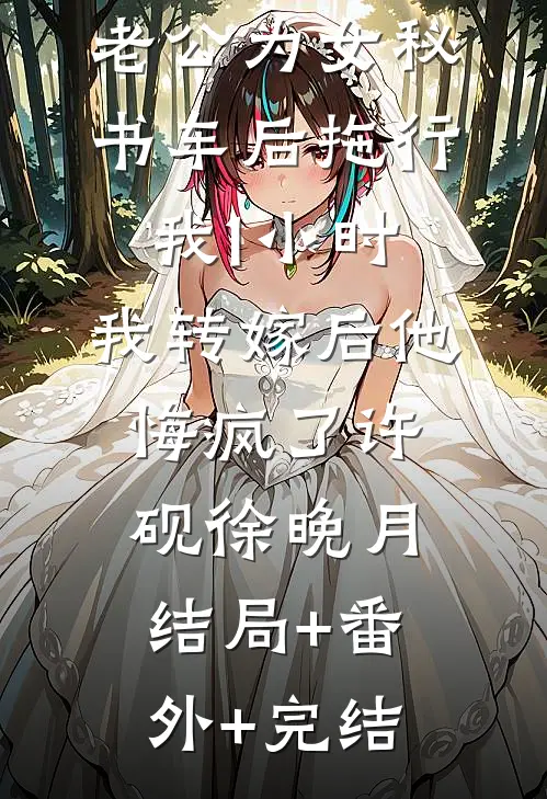 老公为女秘书车后拖行我1小时，我转嫁后他悔疯了许砚徐晚月:结局+番外+完结