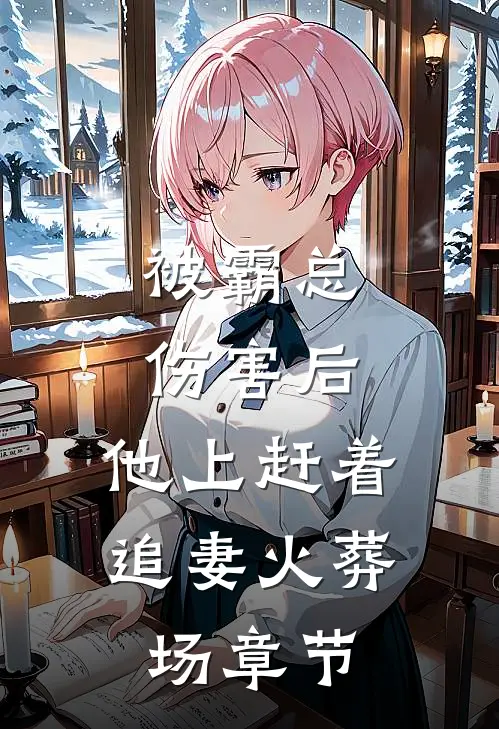 被霸总伤害后，他上赶着追妻火葬场章节