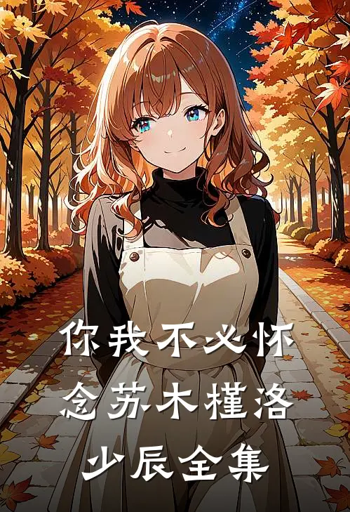 你我不必怀念苏木槿洛少辰全集
