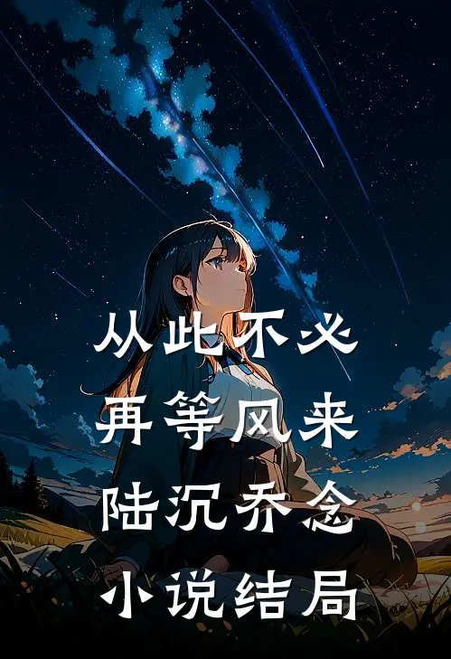 从此不必再等风来陆沉乔念小说结局