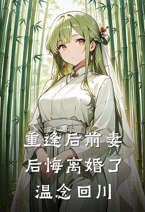 重逢后前妻后悔离婚了温念回川