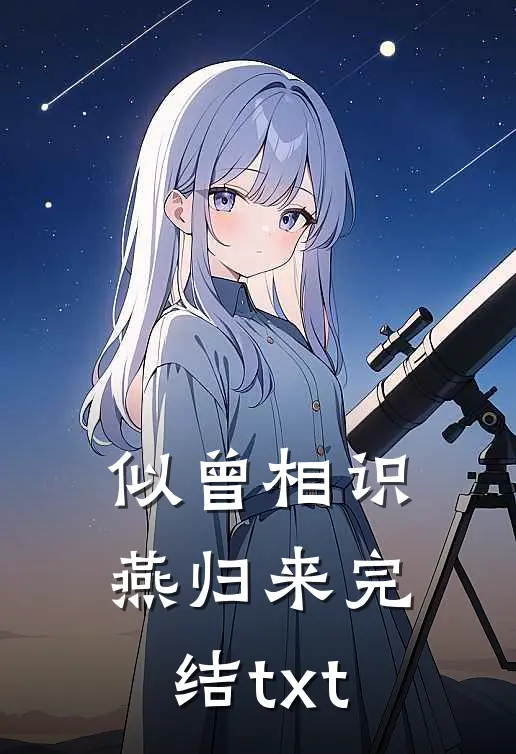 似曾相识燕归来完结txt