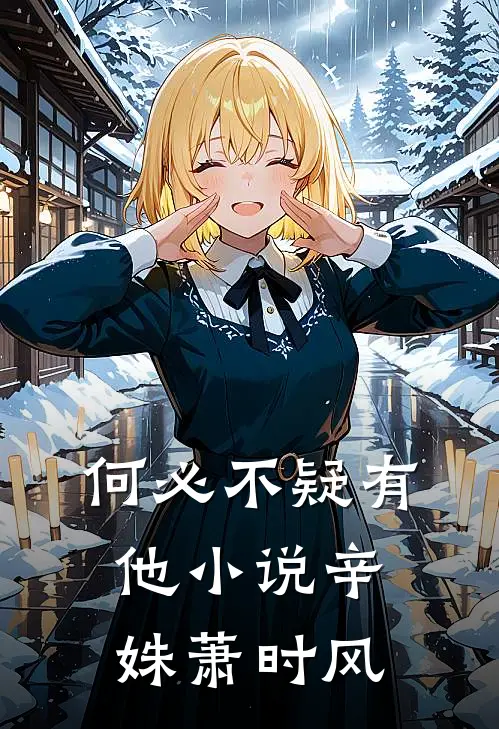 何必不疑有他小说辛姝萧时风