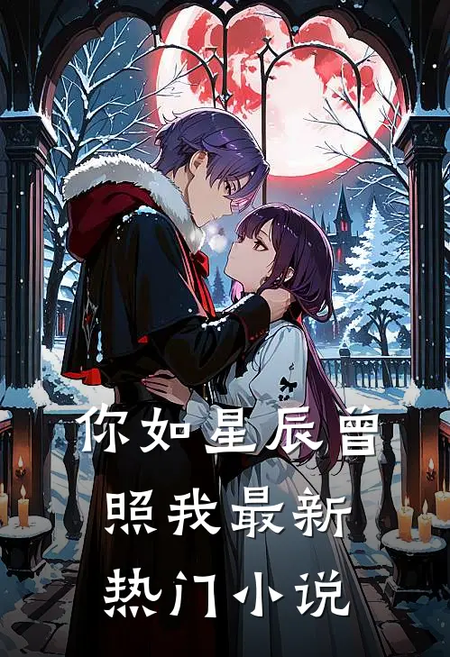 你如星辰曾照我最新热门小说