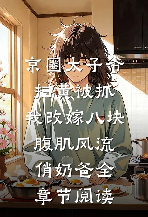 京圈太子爷扫黄被抓，我改嫁八块腹肌风流俏奶爸全章节阅读