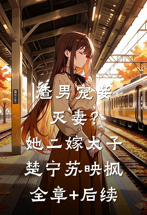 渣男宠妾灭妻？她二嫁太子楚宁苏映枫全章+后续