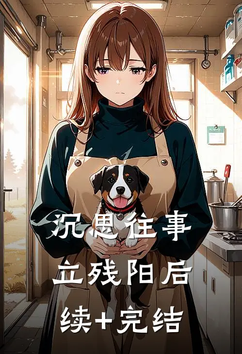 沉思往事立残阳后续+完结