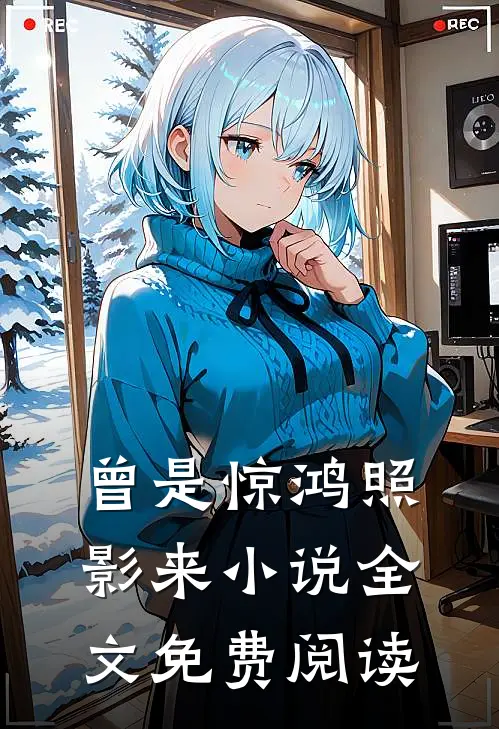 曾是惊鸿照影来小说全文免费阅读