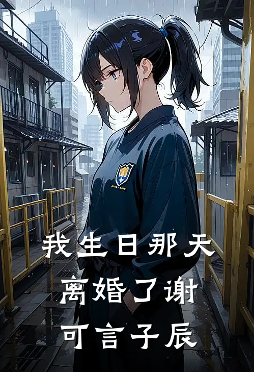 我生日那天，离婚了谢可言子辰