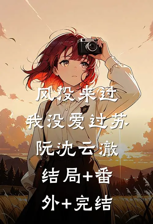 风没来过，我没爱过苏阮沈云澈结局+番外+完结