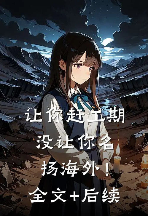 让你赶工期，没让你名扬海外！全文+后续