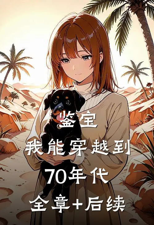 鉴宝：我能穿越到70年代:全章+后续