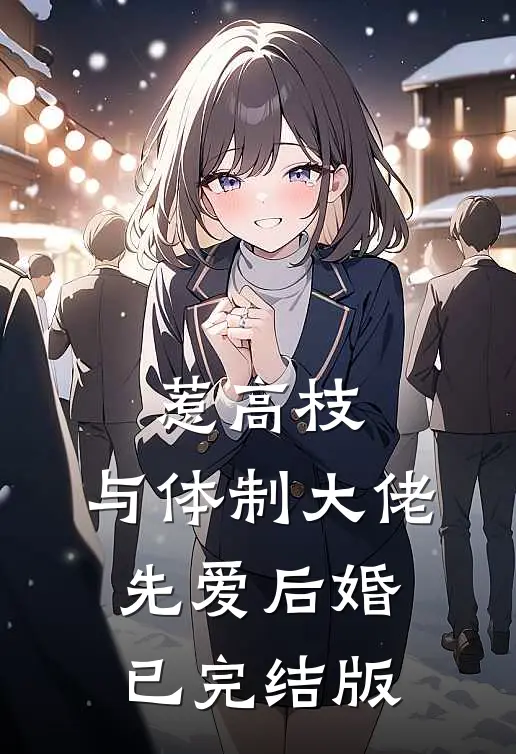 惹高枝：与体制大佬先爱后婚已完结版